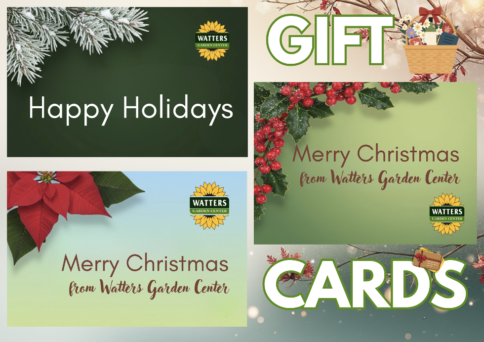 Watters Garden Center gift card options